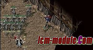 ̬