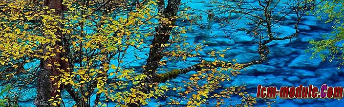 传奇盛大手游官网